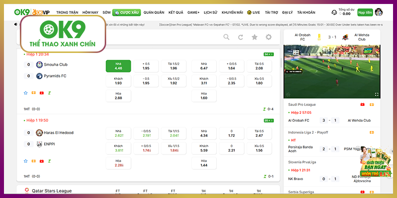 Lợi ích lớn cho người chơi khi tham gia cá cược thể thao tại nhà cái OK9
